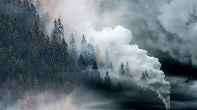 Forrest with smoke and industrial smokestack